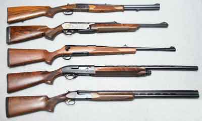 Carabine ou fusils de chasse ?